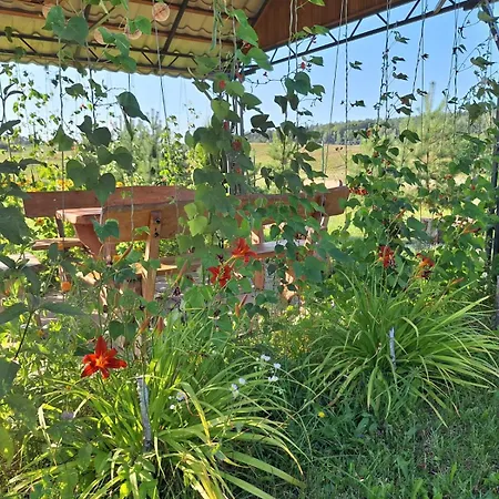 Дом отдыха Na Zaciszu W Rynie *